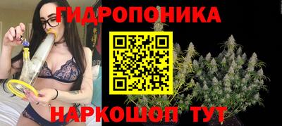 мяу мяу кристалл Малоярославец
