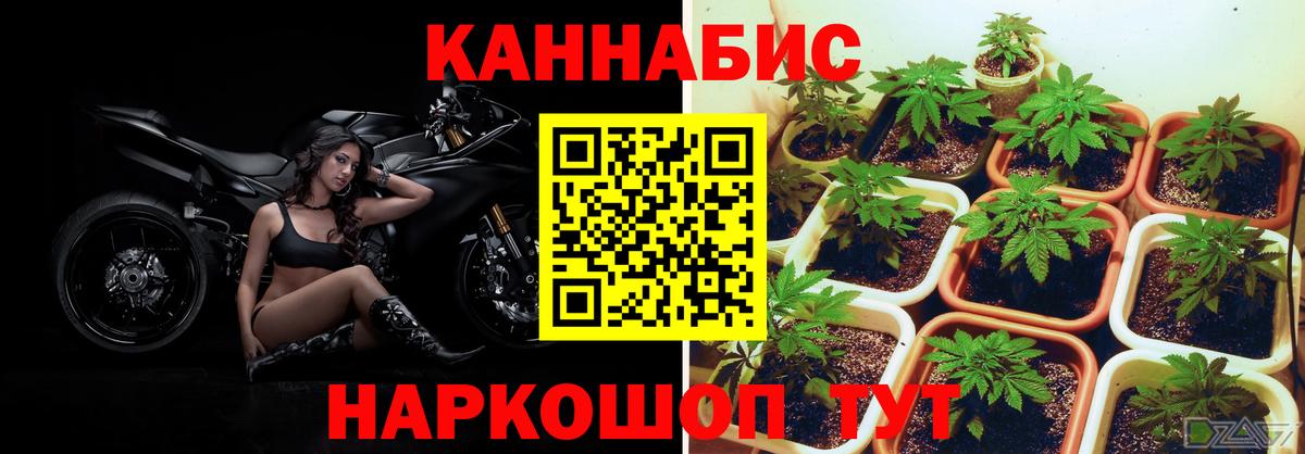 МАРИХУАНА THC 21% Верхняя Салда